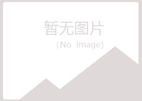 南郑县夏岚美容有限公司